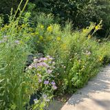 Native Plant Workshop