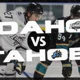 Steelheads