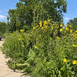 Sustainable Landscaping Practices