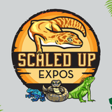 Scaled Up Expos