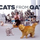 25 Cats from Qatar
