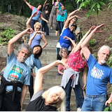 Forest Fitness (free)