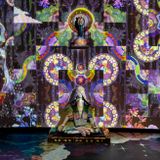 Shimmer: Dreaming the Posthuman