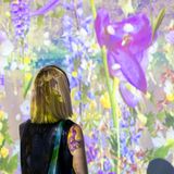 Robin Vuchnich: In Search of Thoreau’s Flowers—The Memory of a Season