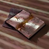 By the Book: Readings Inspired by Lotus L. Kang