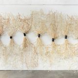 Art History Lecture Series | Pacific Northwest Coast Basketry