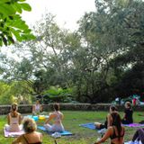 Breathe & Reset: A Guided Breathwork & Meditation Experience with Federica Donato