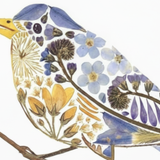 Framed Pressed Flower Workshop | Birds with Ayni Artesana