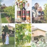 Sip of Gervasi: A Tasting Event