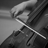 Lunchtime Concert