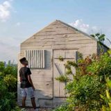 Free Digital Guide to Governors Island Virtual