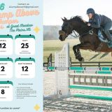 A Jump Above Schooling Jumper Show