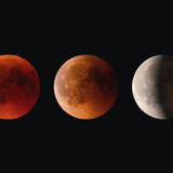 Eclipses