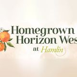 Homegrown in Horizon West at Hamlin