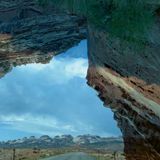 Special Programs The Manifestation of Form: Living Materials in Contemporary Art