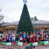 Tree Lighting