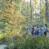 Second Saturday Bird Survey