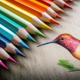 Drink & Draw: Birds