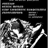 Static Wound, Gutting, Echo Lightwave Unspeakable, Frogonbough
