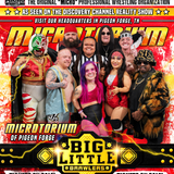 Micro Wrestling