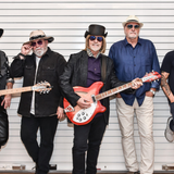Petty Rewind: A Tom Petty Tribute Band