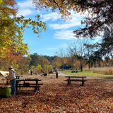 Plein Air Adkins