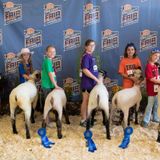 Fair Camp