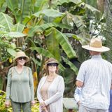 Guided Tours