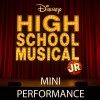 High School Musical Jr.