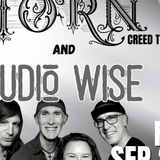 Torn w/ Audio Wise