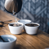 PUBLIC CUPPING: DIRECT TRADE SPOTLIGHT