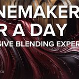 Winemaker for a Day: Exclusive Blending Experience