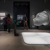 Gallery Spotlight: Dissident Cinema and Bong Joon Ho