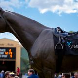 Seabiscuit Tram Tours powered by MyRacehorse