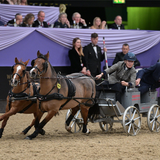 HOYS 2026 - Friday 9th October - Gold Ticket