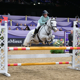 HOYS 2026 - Saturday 10th October - Daytime