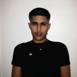 fakemink