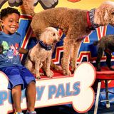 Puppy Pals