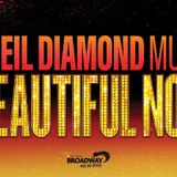 A Beautiful Noise