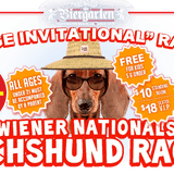 Dog Races