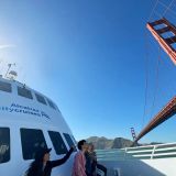 Bay Discovery Cruise