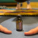Pranic Practice (Hatha)