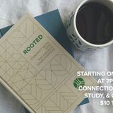 Rooted Book Study
