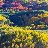 October Hike - Payson Color Changes Military Sinkhole