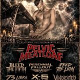 Eric J McCoy Memorial Show feat. Pelvic Meatloaf, Bleed The Fifth, Perennial Fallout, Feed the Lion, 73 Libra, X-5 Unit, Vindicated