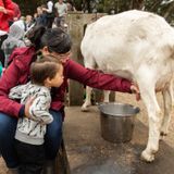Family Farm Day - Fall Harvest