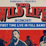 THIS WILD LIFE, Nate Bergman