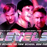 LEVELS - Old School VS New School EDM Night