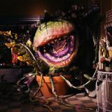 Little Shop of Horrors (1986)