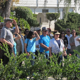 Guided Walking Tour